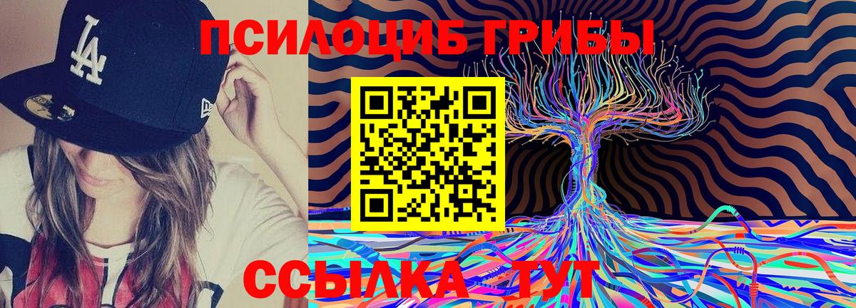Мариинск  Галлюциногенные грибы Psilocybe  Вход с VPN 